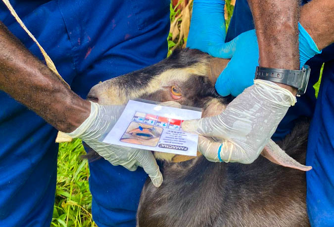 Animal Husbandry Training